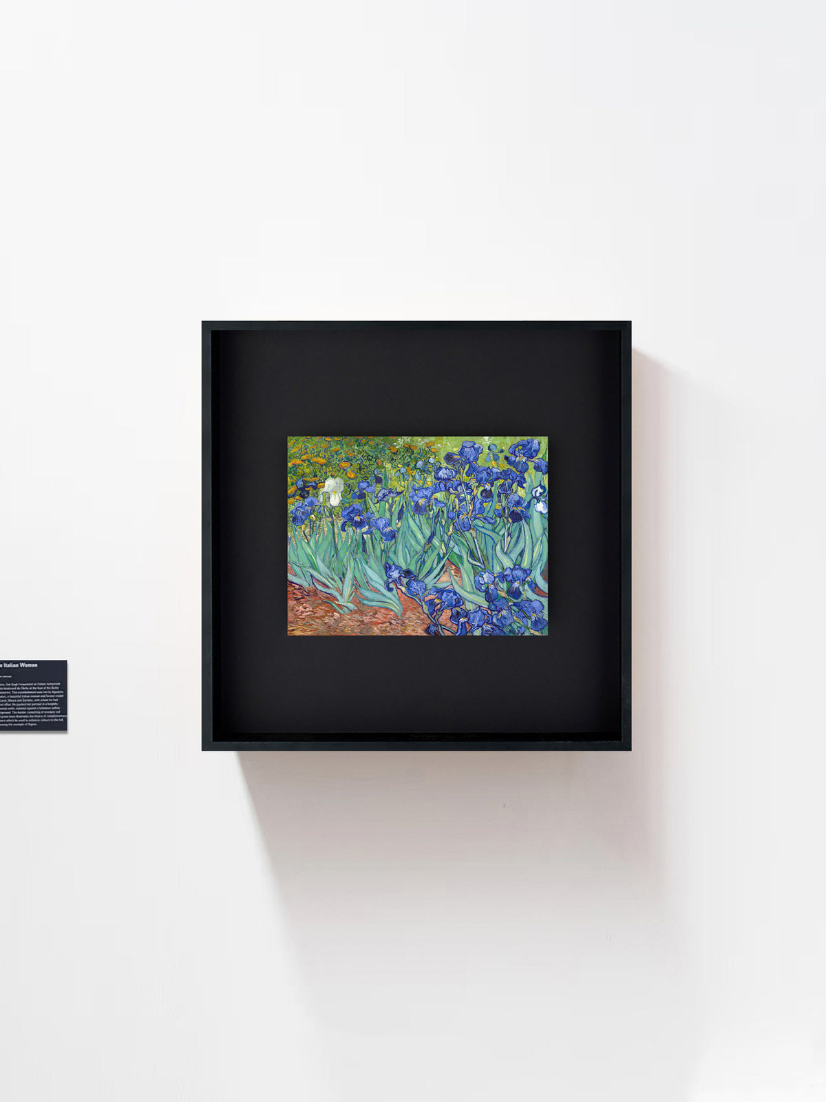 Tribute to Van Gogh: The Complete Fine Art Reproduction Bundle | Premium Aesthetic Posters & Canvas Set